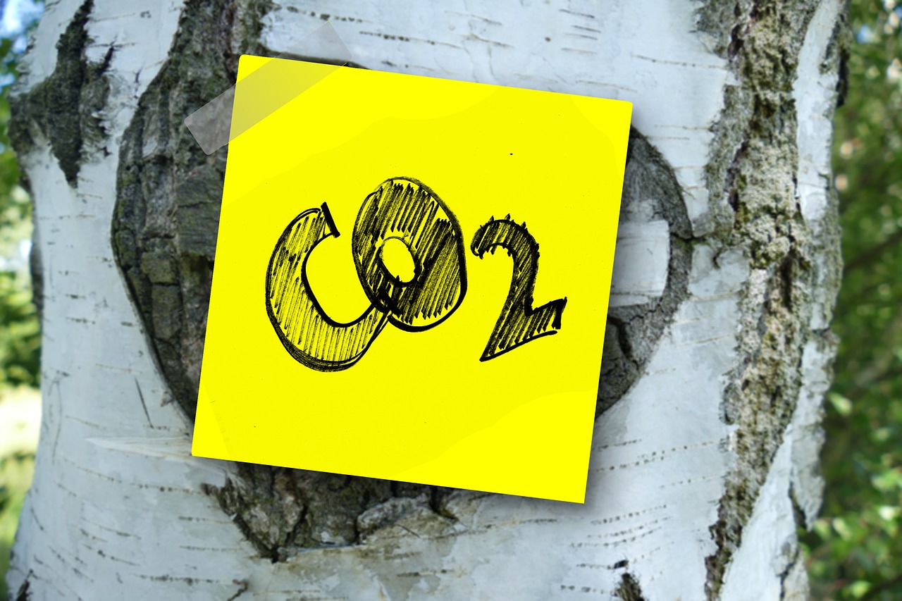 co2, carbon dioxide, carbon-3139230.jpg